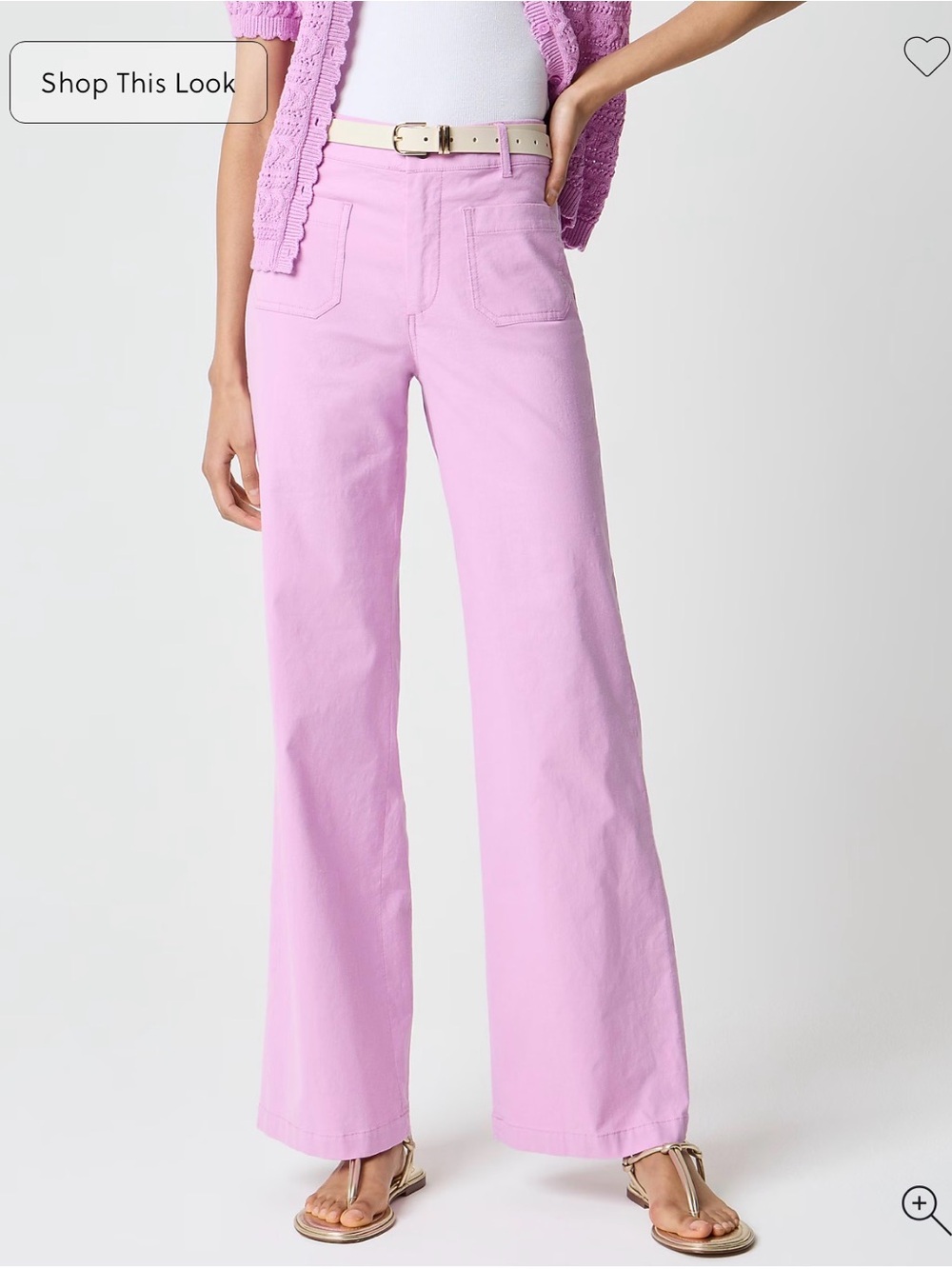 Jcrew Lizzie Wide Leg Pants in Pink